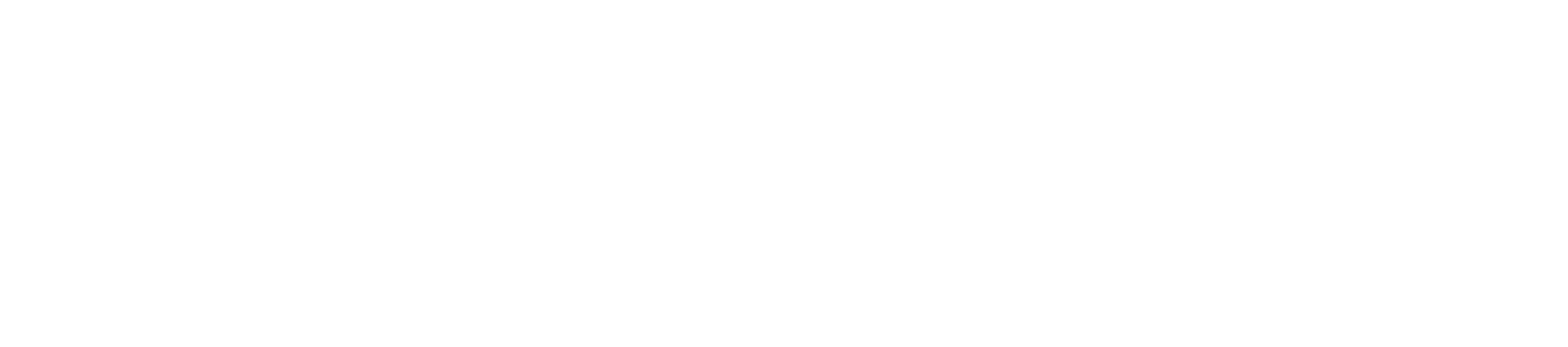 AnalyticsIQ Official Brand Logo - White